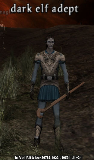 Picture of Dark Elf Adept