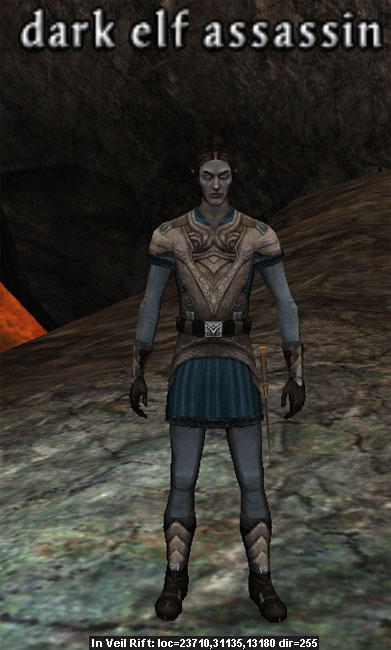 Picture of Dark Elf Assassin