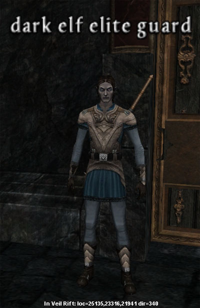 Picture of Dark Elf Elite Guard