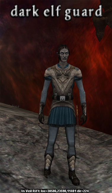 Picture of Dark Elf Guard