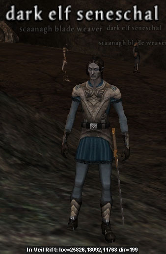 Picture of Dark Elf Seneschal