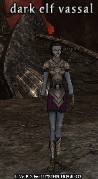 Picture of Dark Elf Vassal