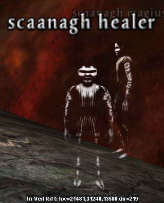 Picture of Scaanagh Healer