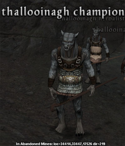 Picture of Thallooinagh Champion