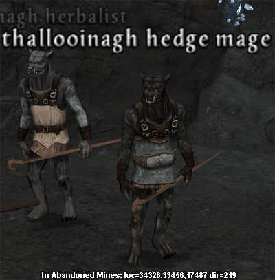 Picture of Thallooinagh Hedge Mage