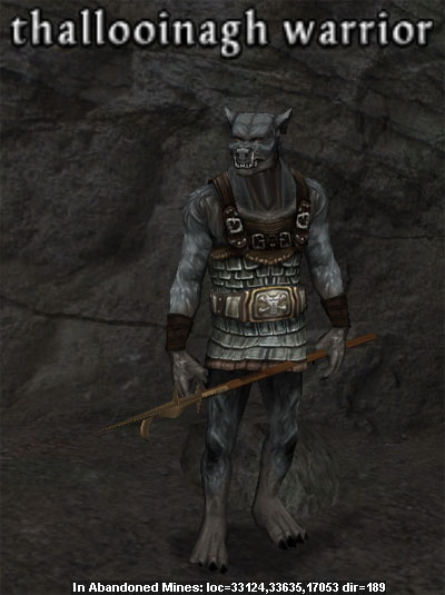 Picture of Thallooinagh Warrior