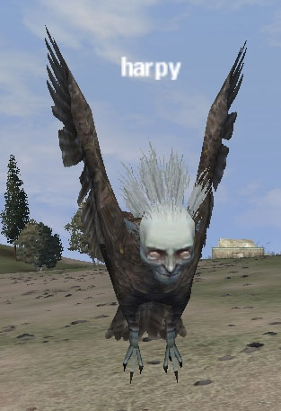 Picture of Harpy