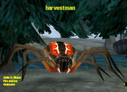 Picture of Harvestman