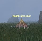 Picture of Beach Shrouder