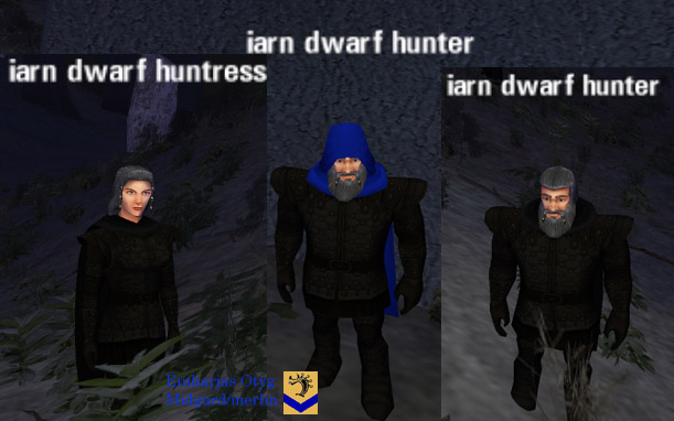 Picture of Iarn Dwarf Hunter