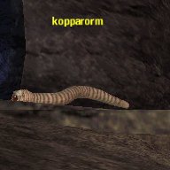 Picture of Kopparorm