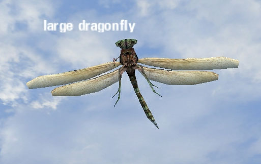 Picture of Large Dragonfly