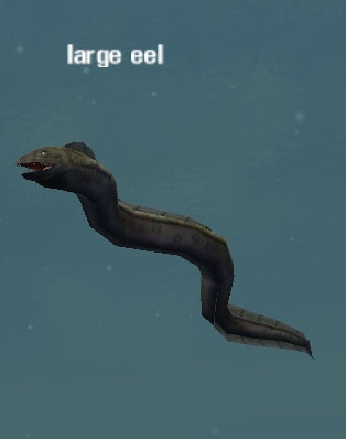 Picture of Large Eel