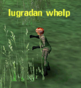 Picture of Lugradan Whelp