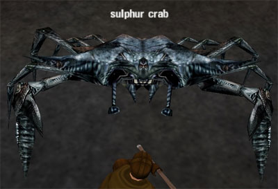 Picture of Sulphur Crab