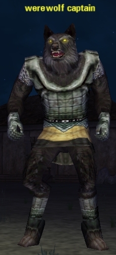 Picture of Werewolf Captain