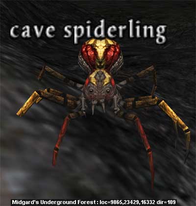 Picture of Cave Spiderling (Mid)