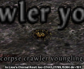Picture of Corpse Crawler Youngling