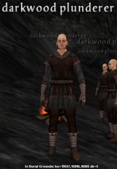 Picture of Darkwood Plunderer