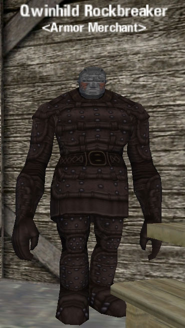 Picture of Qwinhild Rockbreaker