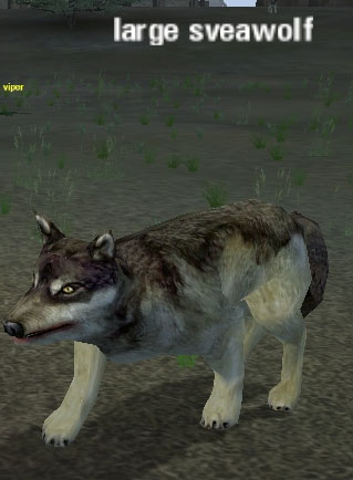 Picture of Large Sveawolf