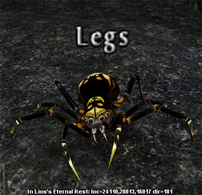 Picture of Legs