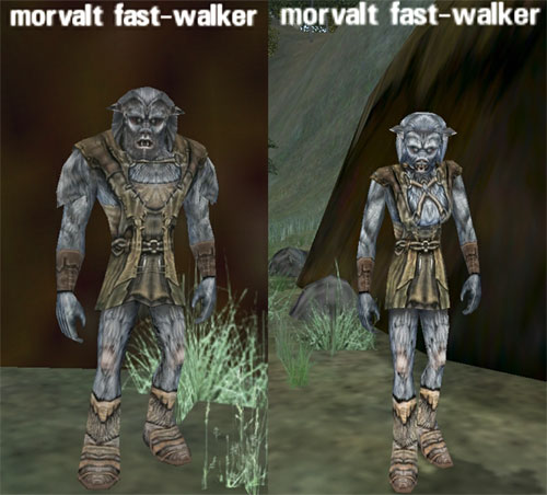 Picture of Morvalt Fast-walker