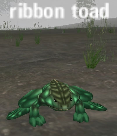 Picture of Ribbon Toad