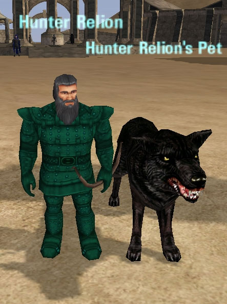 Picture of Hunter Relion's Pet