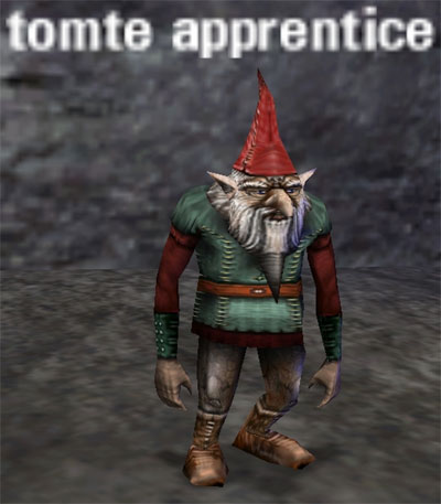 Picture of Tomte Apprentice