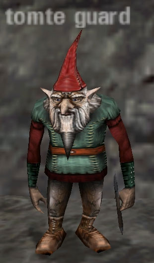 Picture of Tomte Guard