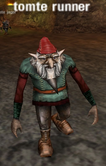 Picture of Tomte Runner