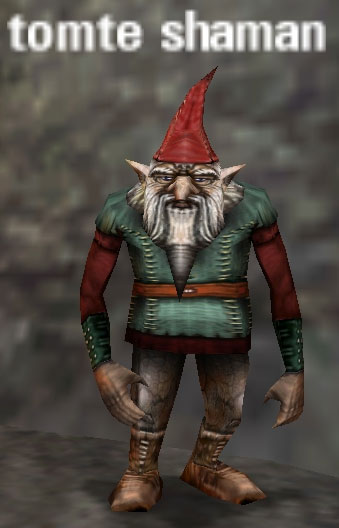 Picture of Tomte Shaman