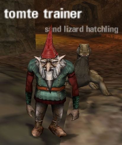 Picture of Tomte Trainer