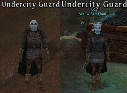 Picture of Undercity Guard