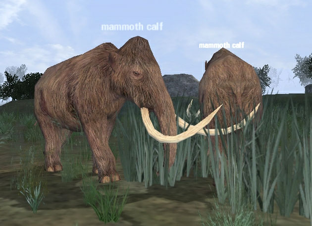 Picture of Mammoth Calf