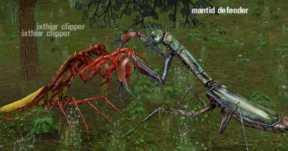Picture of Mantid Defender