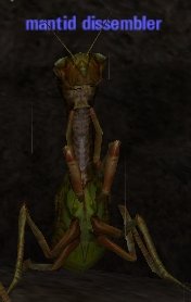 Picture of Mantid Dissembler