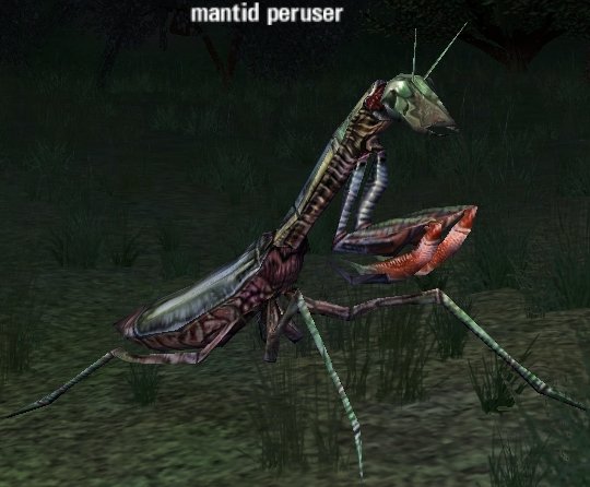 Picture of Mantid Peruser