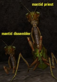 Picture of Mantid Priest