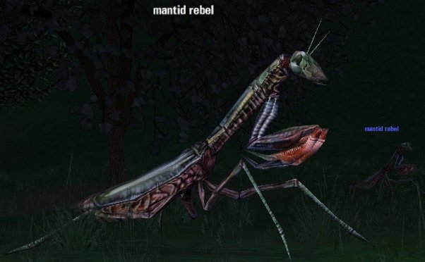 Picture of Mantid Rebel