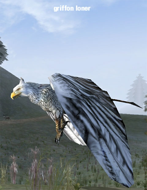 Picture of Griffon Loner