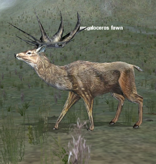Picture of Megaloceros Fawn