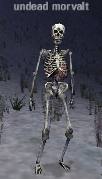 Picture of Undead Morvalt