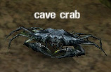Picture of Cave Crab