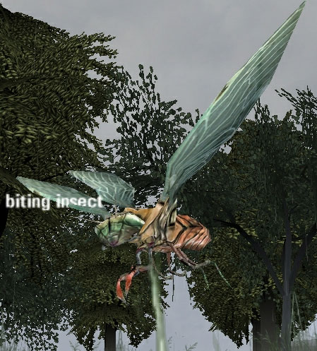 Picture of Biting Insect