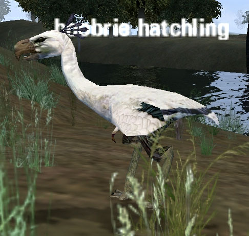 Picture of Boobrie Hatchling