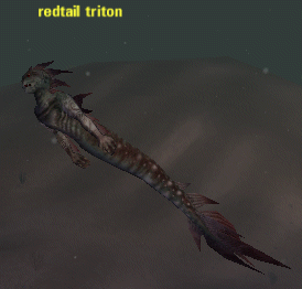 Picture of Redtail Triton