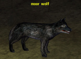 Picture of Moor Wolf