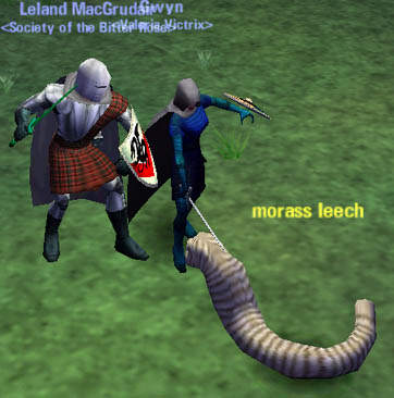 Picture of Morass Leech